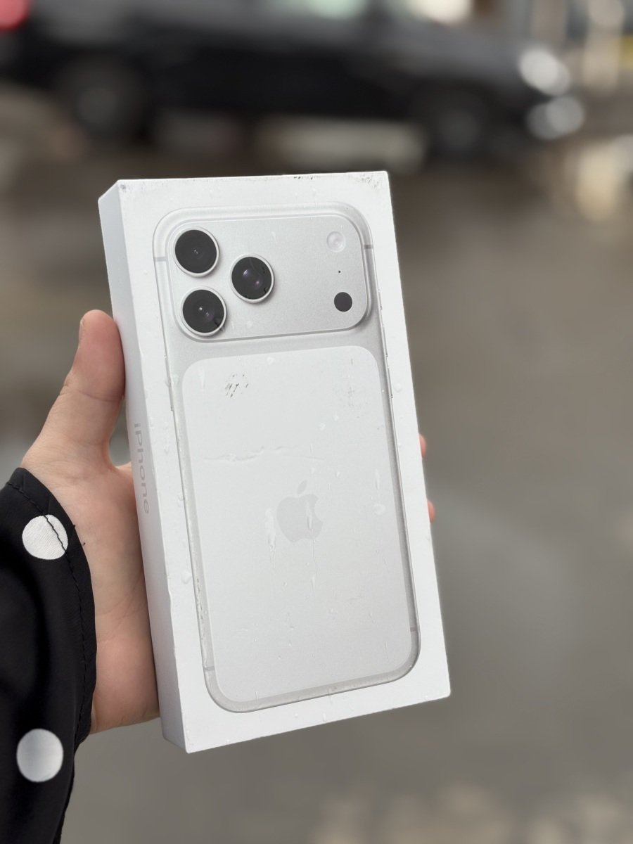 iPhone 17 Pro Max eSIM 256 Гб silver