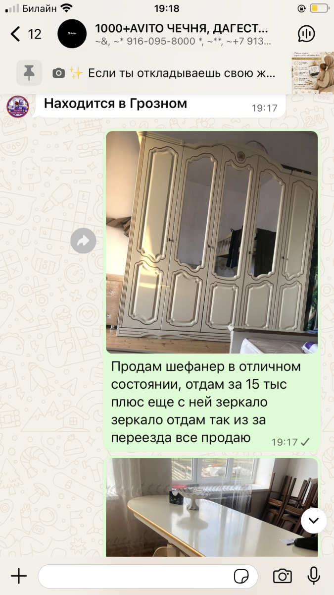 Шефанер и два тумба