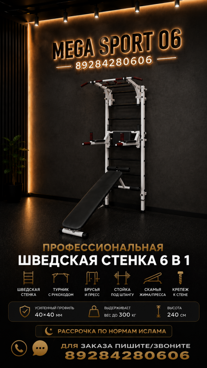 Профессиональная шведская стенка