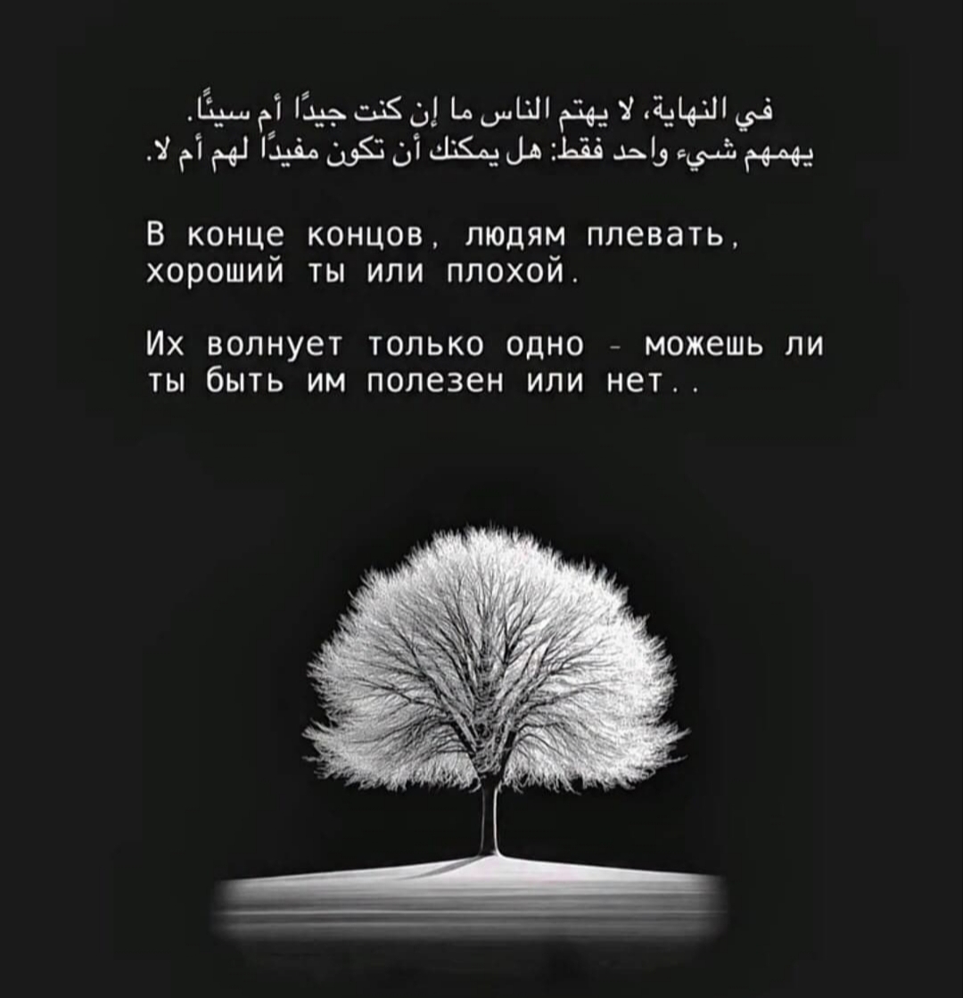 Мужухоев Магомед